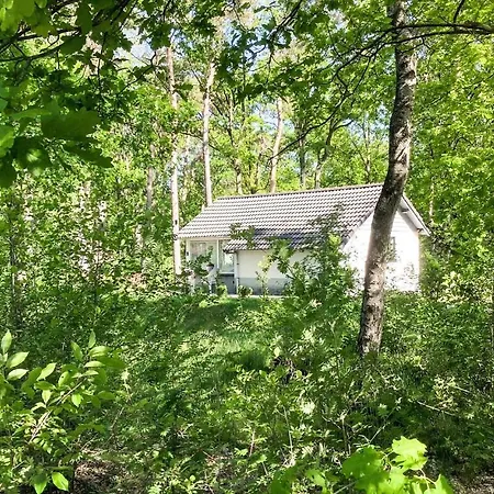 Amazing In With Wifi * Stramproy