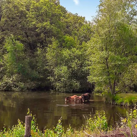 Amazing In With Wifi Holiday home Stramproy