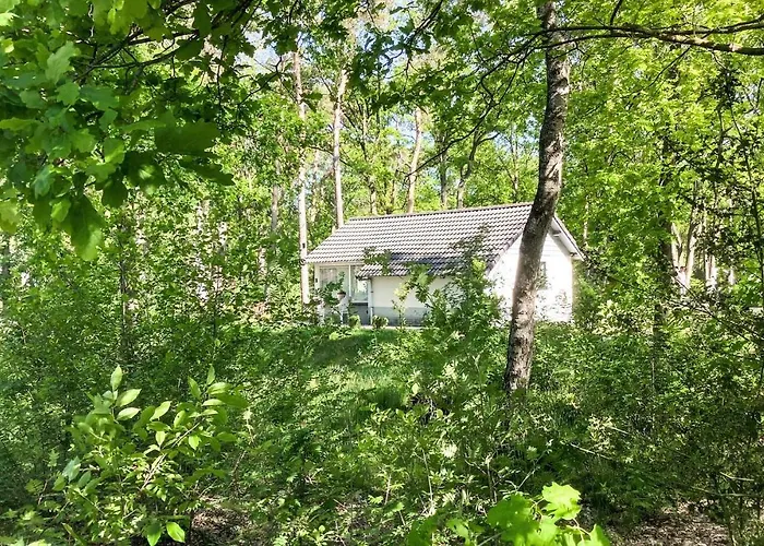 Amazing In With Wifi * Stramproy